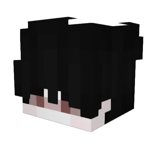 StarsCapp Minecraft avatar head, 3D render