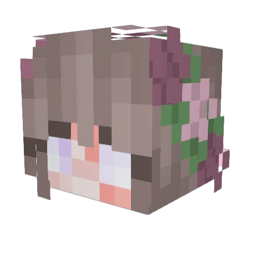 StarsOfHiraeth Minecraft avatar head, 3D render