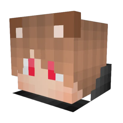 StarsOnPaper Minecraft avatar head, 3D render