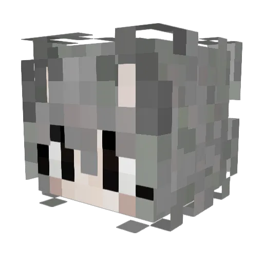Stars_People Minecraft avatar head, 3D render