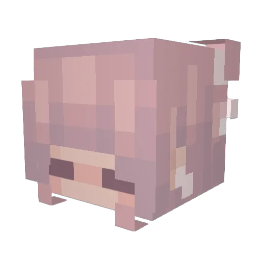 Starscream747 Minecraft avatar head, 3D render
