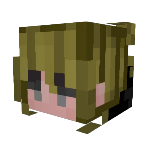 Starshi3 Minecraft avatar head, 3D render