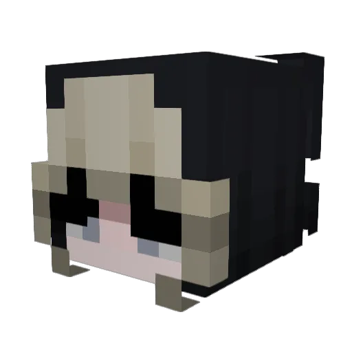 Starshielld Minecraft avatar head, 3D render