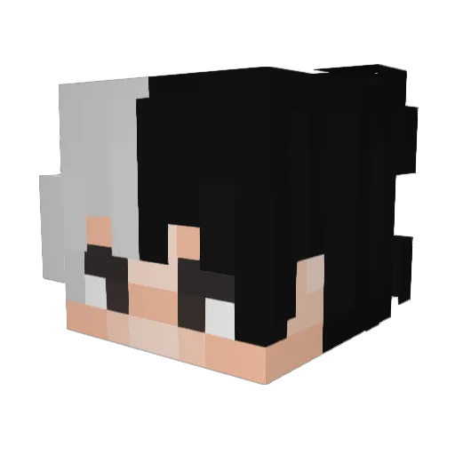Starshinesystem Minecraft avatar head, 3D render