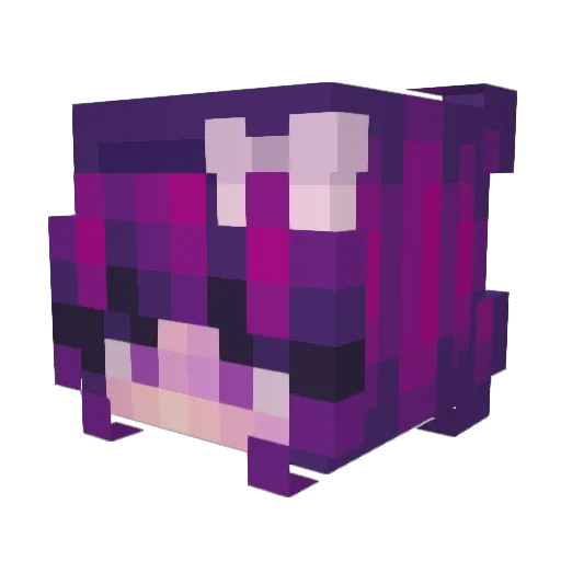 Starstickers0 Minecraft avatar head, 3D render