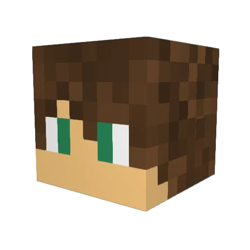 Starstreak29 Minecraft avatar head, 3D render