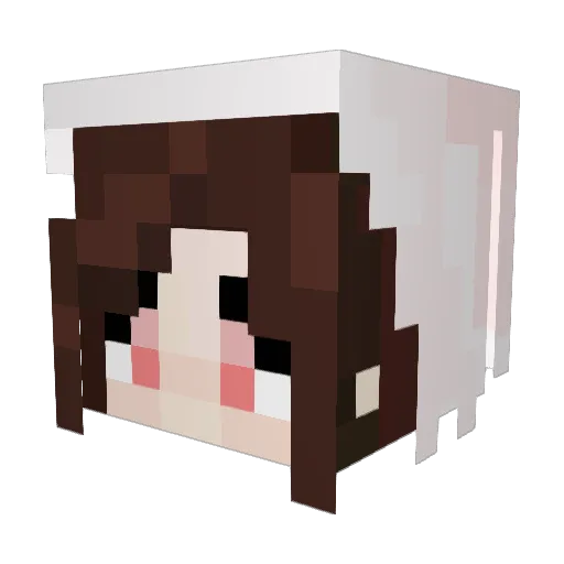 Startrash_99 Minecraft avatar head, 3D render