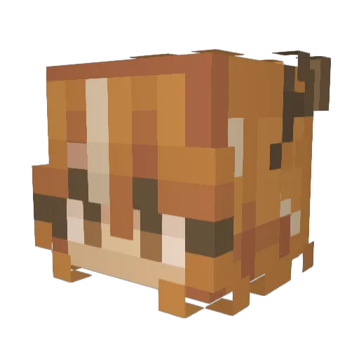 Starveiled Minecraft avatar head, 3D render