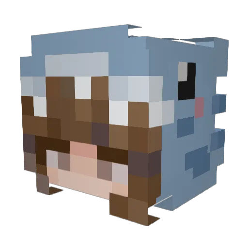 StarvelWolfy Minecraft avatar head, 3D render