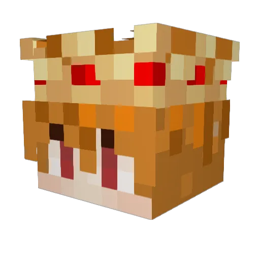 Starving_cat69 Minecraft avatar head, 3D render