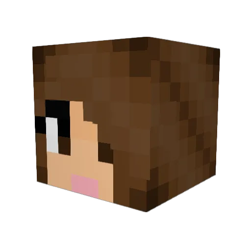 Starwarsbabe69 Minecraft avatar head, 3D render