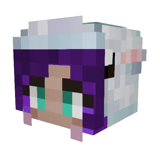 Starwhirl Minecraft avatar head, 3D render