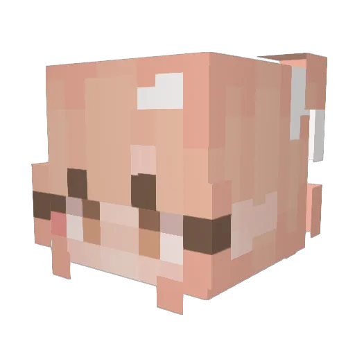 StaryNi Minecraft avatar head, 3D render