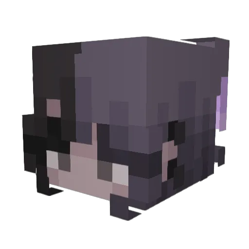 StaryStar26 Minecraft avatar head, 3D render