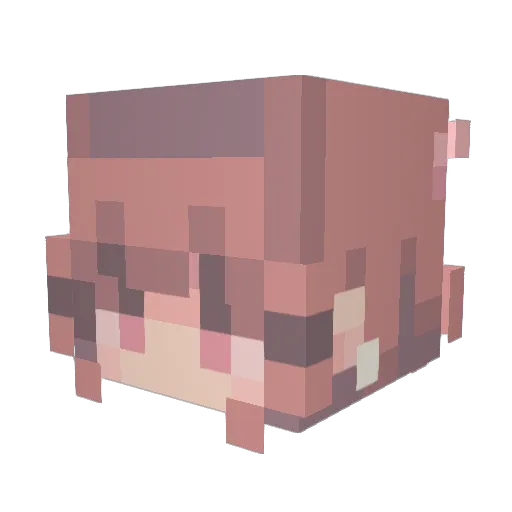 StaryxGacha Minecraft avatar head, 3D render