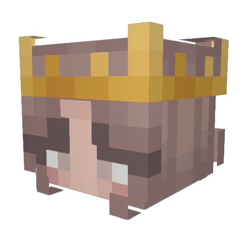 StaryySally Minecraft avatar head, 3D render