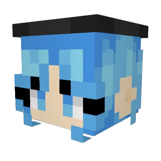 Starz25348 Minecraft avatar head, 3D render