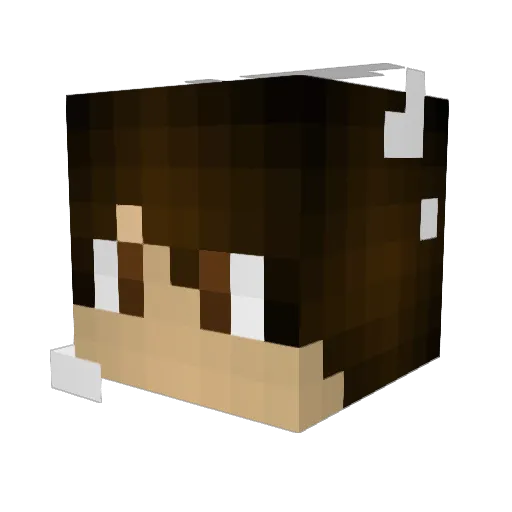 StarzHD Minecraft avatar head, 3D render