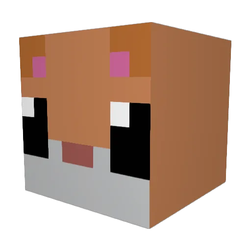 Starziner Minecraft avatar head, 3D render