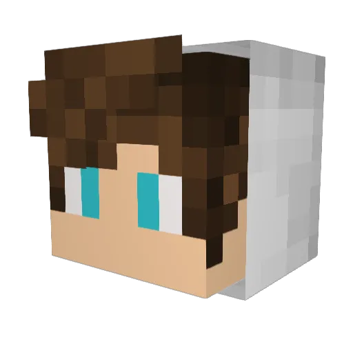 Starzs Minecraft avatar head, 3D render