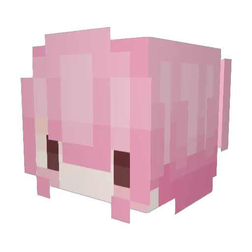 Starzz23 Minecraft avatar head, 3D render
