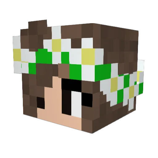 Stash_NL Minecraft avatar head, 3D render