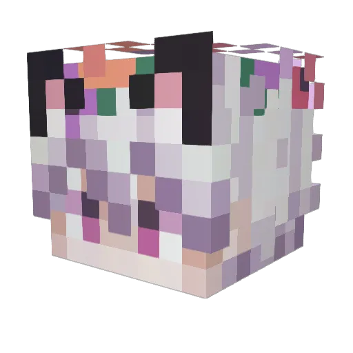 Stashhy Minecraft avatar head, 3D render