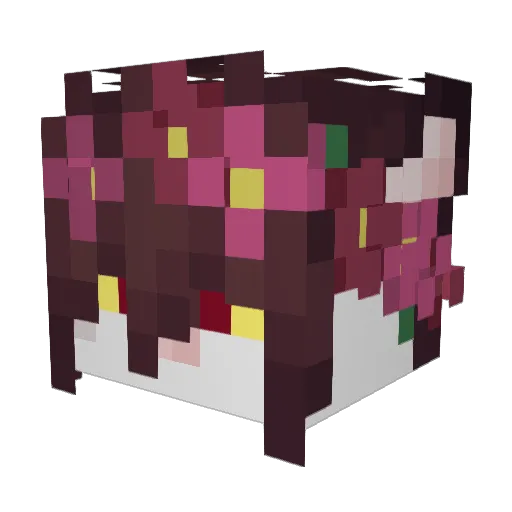 Stasian_ Minecraft avatar head, 3D render