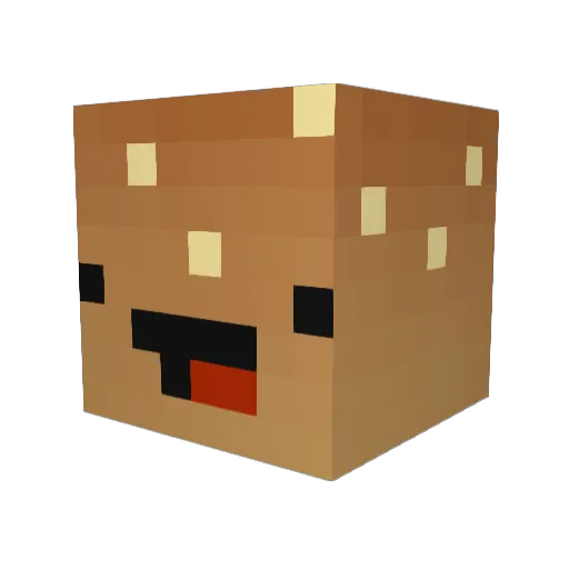 Stasio_z_dasio Minecraft avatar head, 3D render