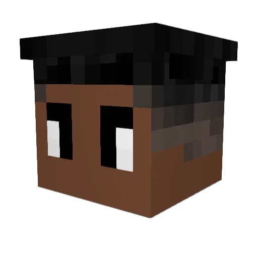 StasiuToZiomall Minecraft avatar head, 3D render