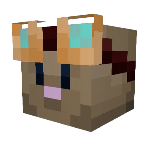 State249 Minecraft avatar head, 3D render