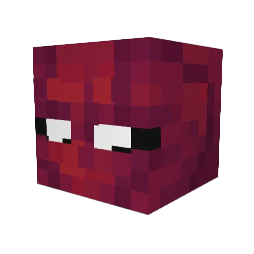StateOfMisery__ Minecraft avatar head, 3D render