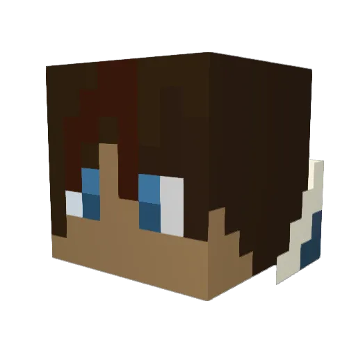 Statelybobcat Minecraft avatar head, 3D render