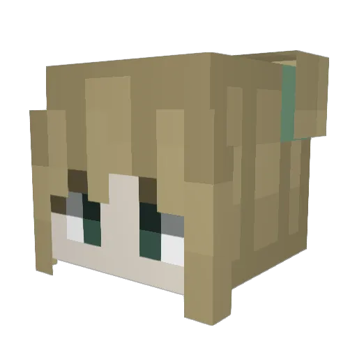 StaticCat9107 Minecraft avatar head, 3D render