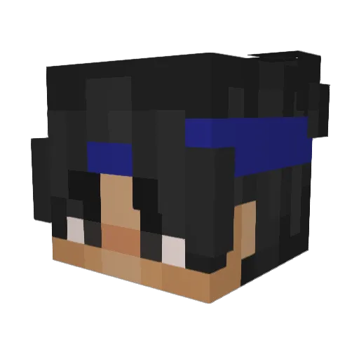 StaticIsHere Minecraft avatar head, 3D render
