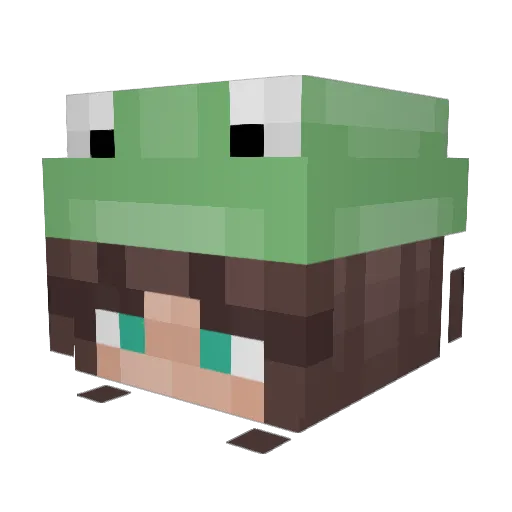 StaticLlama9295 Minecraft avatar head, 3D render
