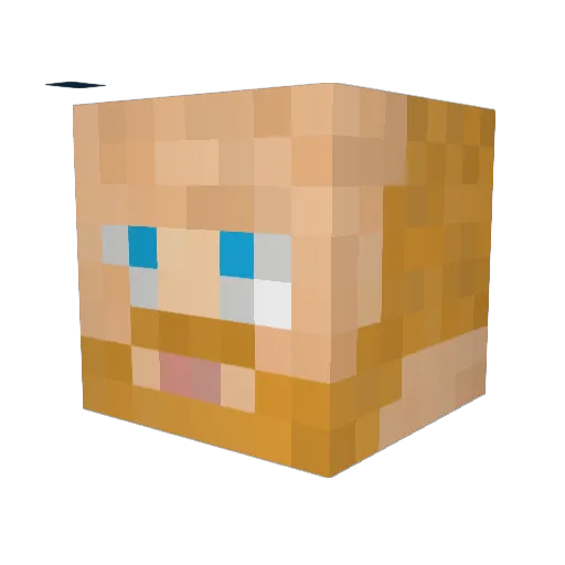 Statusjohn Minecraft avatar head, 3D render