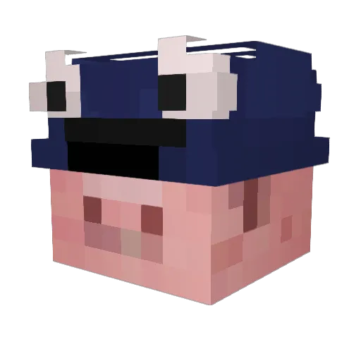 StaunchPig Minecraft avatar head, 3D render