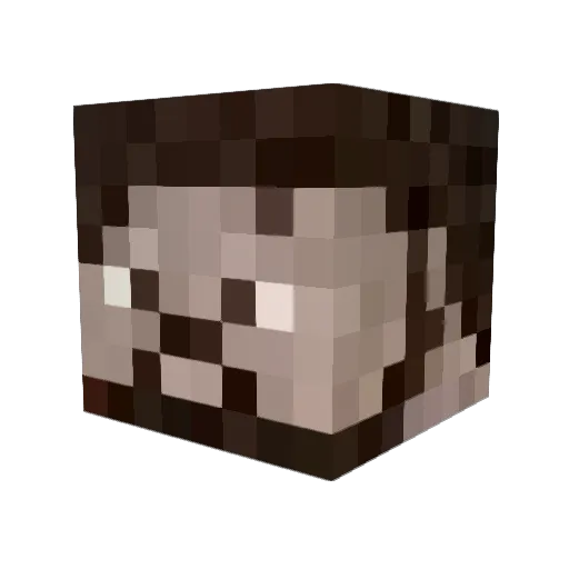 StavNa Minecraft avatar head, 3D render