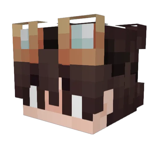 Stavghsx23 Minecraft avatar head, 3D render