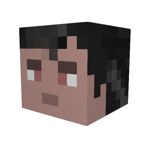 StawnSSD Minecraft avatar head, 3D render