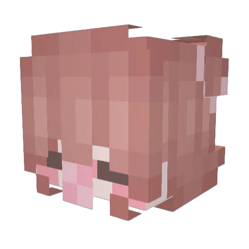 Stawz22 Minecraft avatar head, 3D render