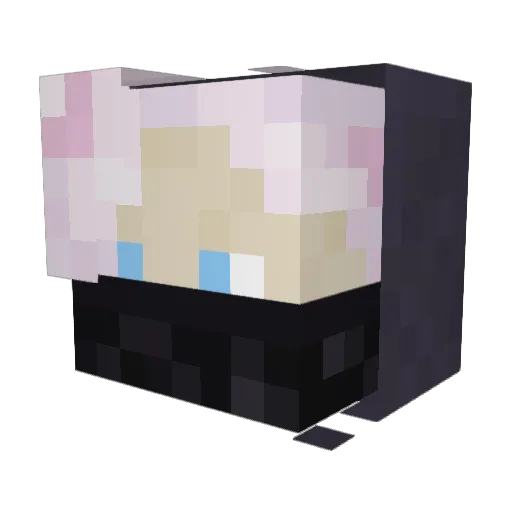 Stay2509 Minecraft avatar head, 3D render