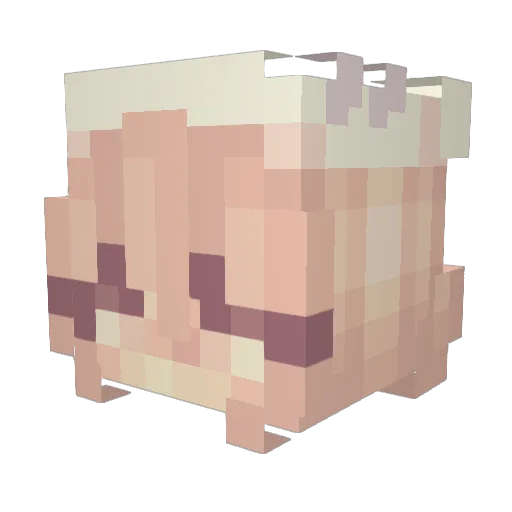 StayAtHomeDaddy Minecraft avatar head, 3D render