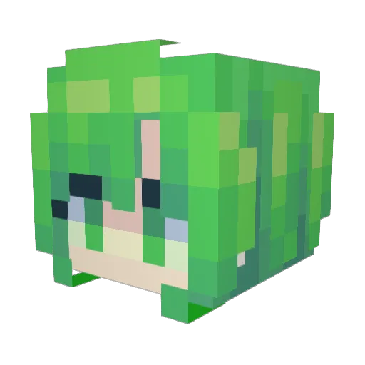 StayAtNight Minecraft avatar head, 3D render