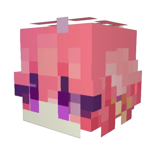 StayFroosty Minecraft avatar head, 3D render