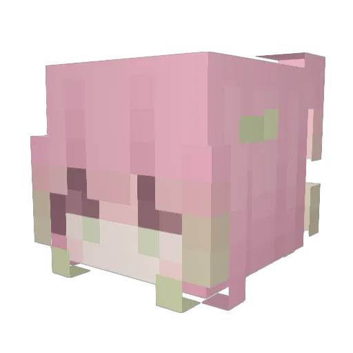 StayMacne Minecraft avatar head, 3D render