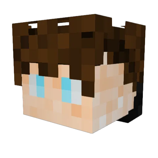 StayOlong Minecraft avatar head, 3D render