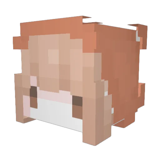StayPill Minecraft avatar head, 3D render