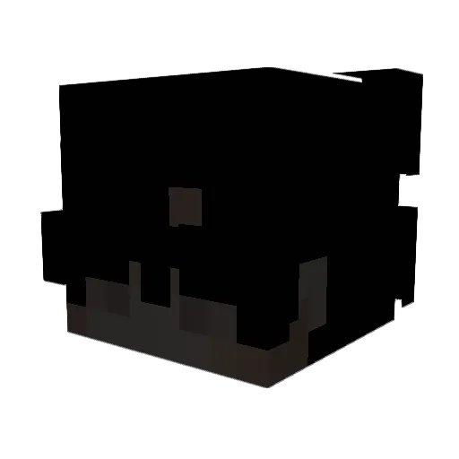 StaySolid Minecraft avatar head, 3D render